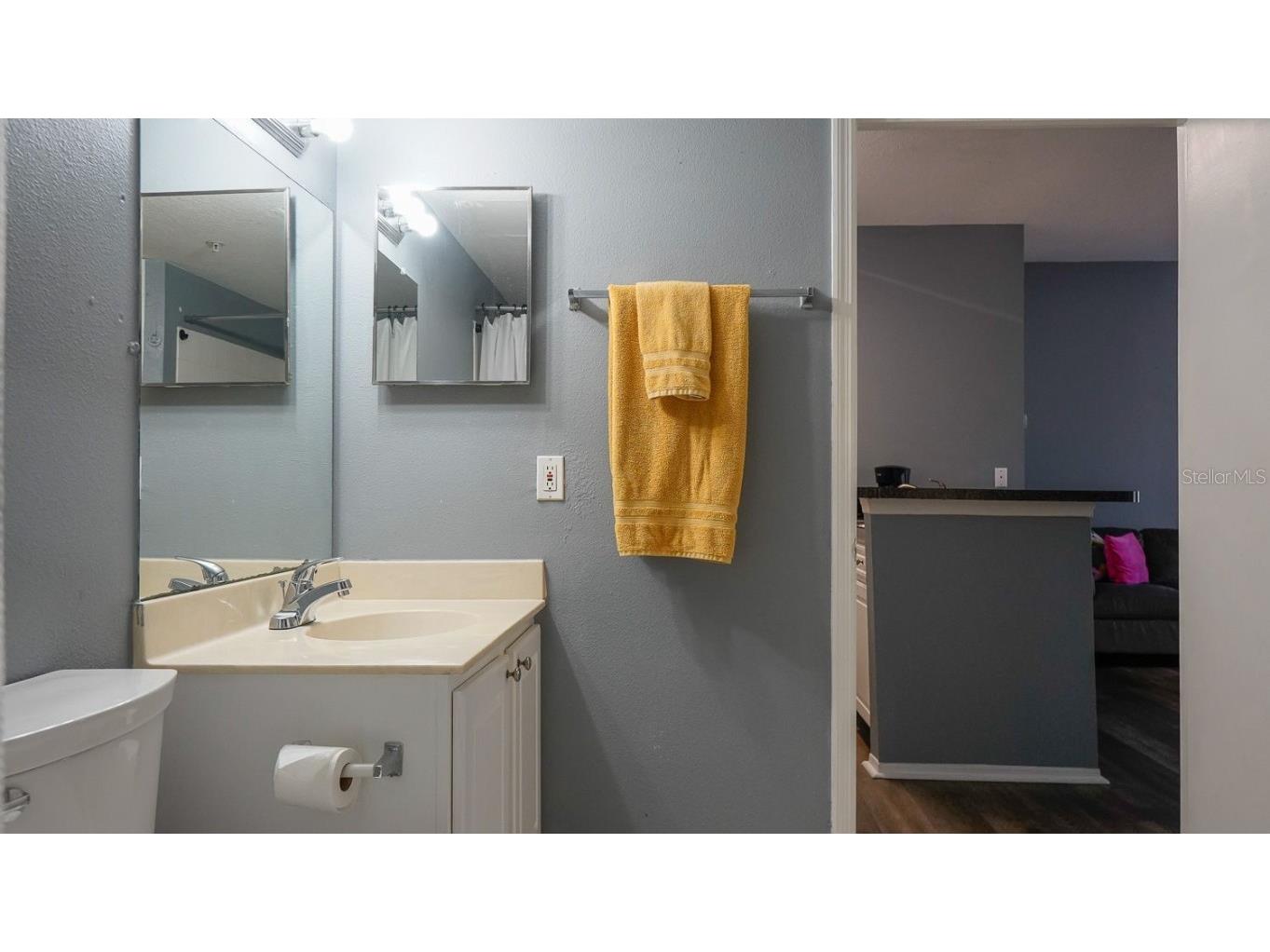 10764 70th Avenue #2208 Seminole FL 33772 TB8442598 image7