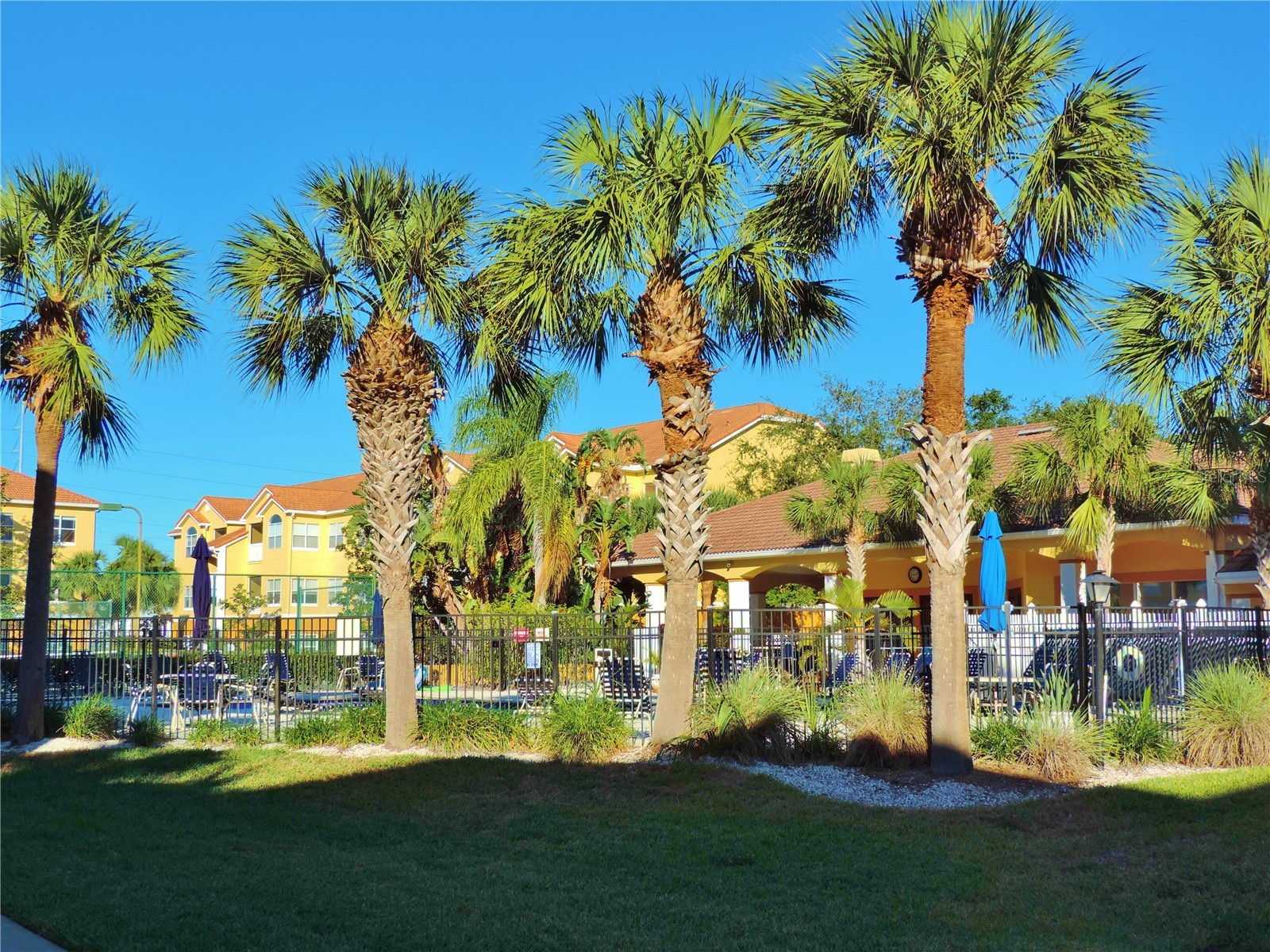 10764 70th Avenue #2305 Seminole FL 33772 TB8483443 image26