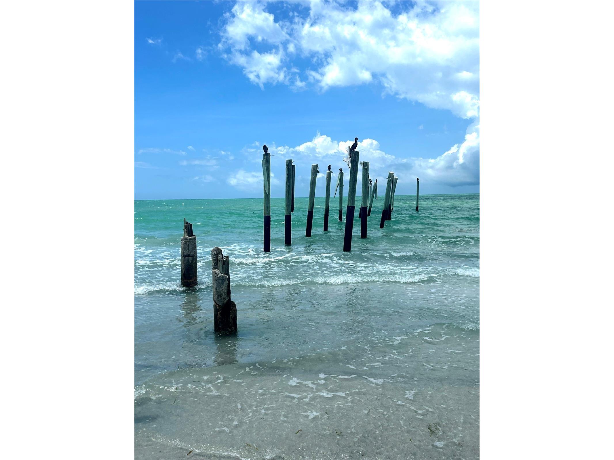 10764 70th Avenue #3307 Seminole FL 33772 TB8512745 image35