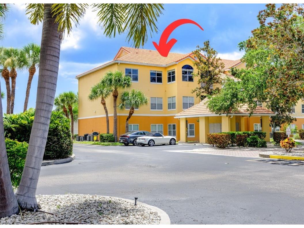 10764 70th Avenue #3308 Seminole FL 33772 U8251196 image1