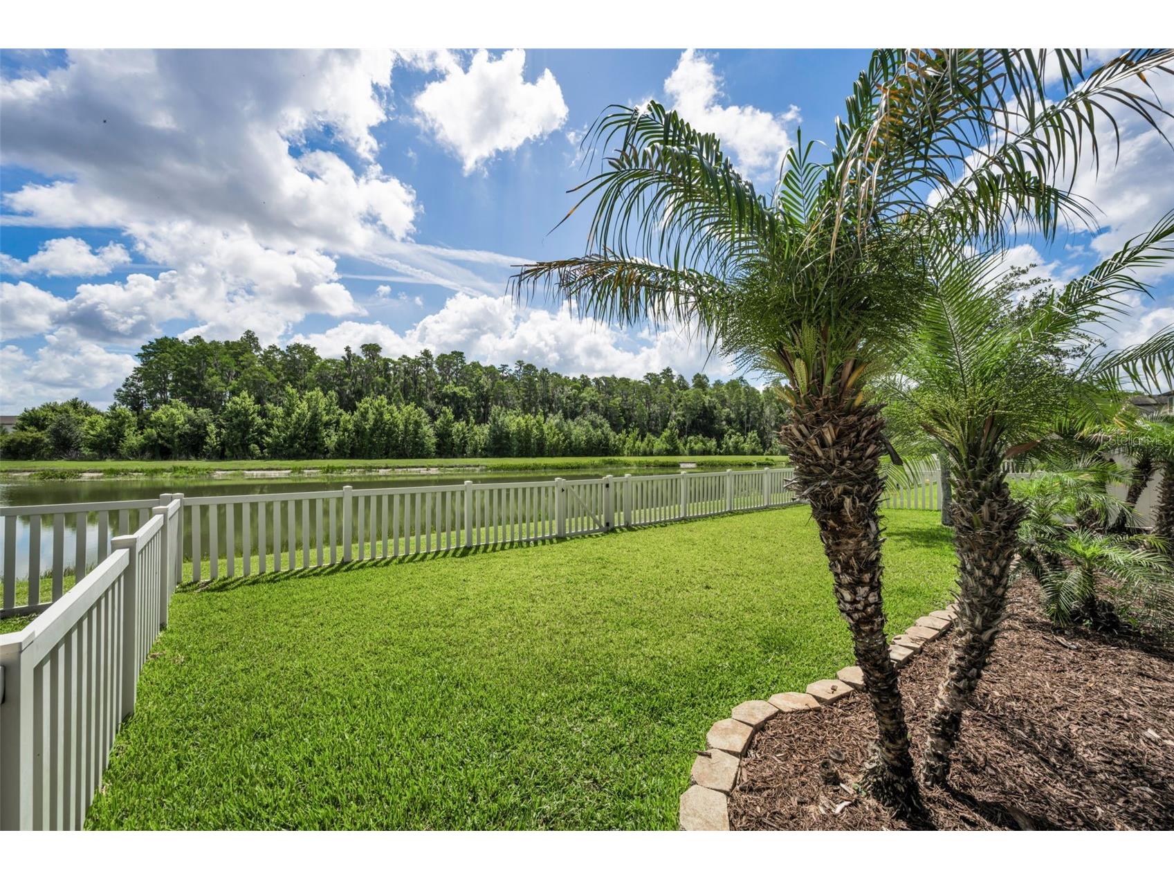 10764 Pleasant Knoll Drive Tampa FL 33647 TB8515058 image53