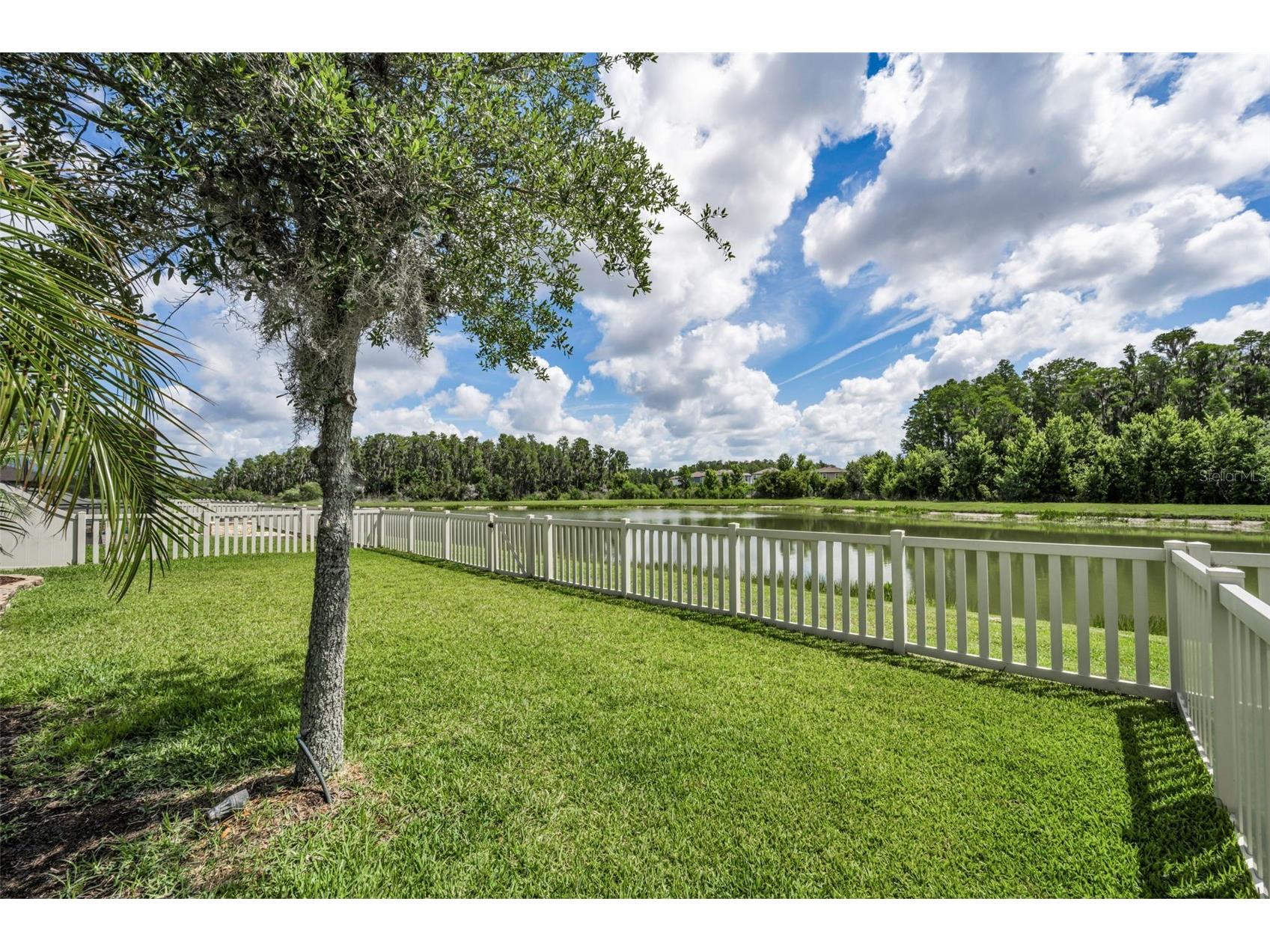 10764 Pleasant Knoll Drive Tampa FL 33647 TB8515058 image56