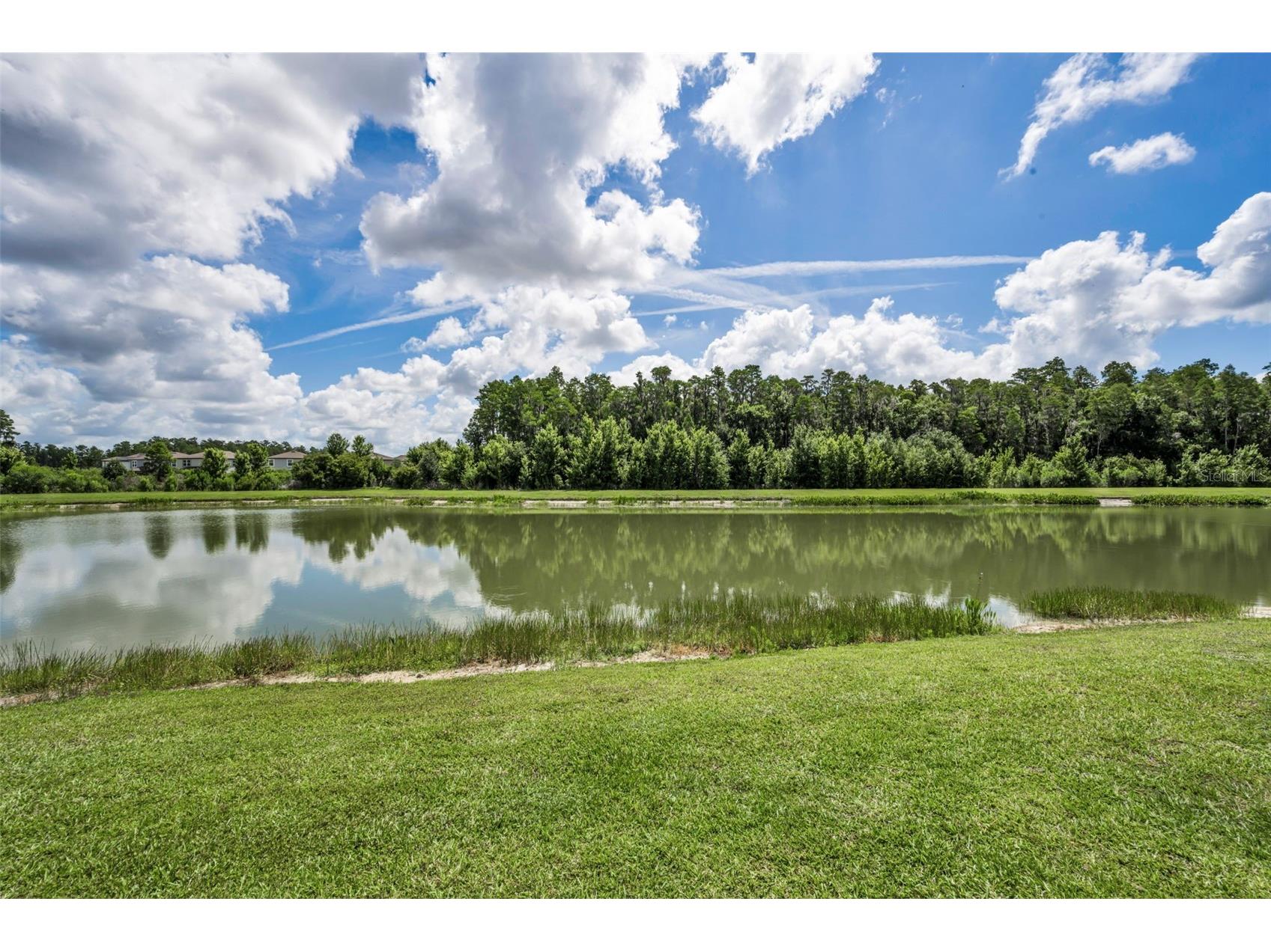 10764 Pleasant Knoll Drive Tampa FL 33647 TB8515058 image57