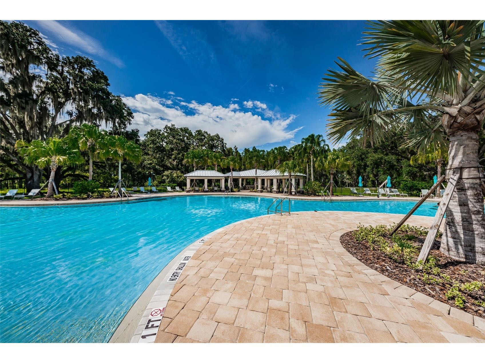 10764 Pleasant Knoll Drive Tampa FL 33647 TB8515058 image78