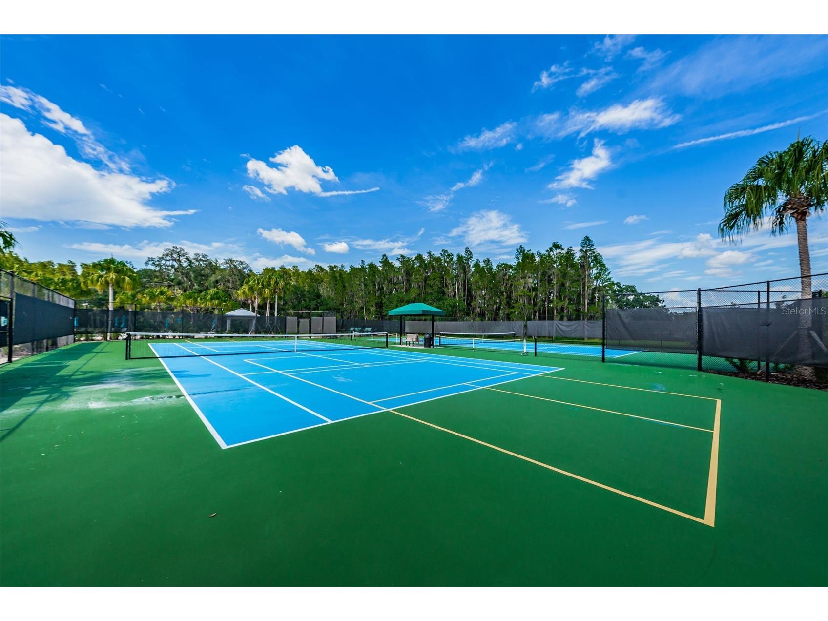 10764 Pleasant Knoll Drive Tampa FL 33647 TB8515058 image91