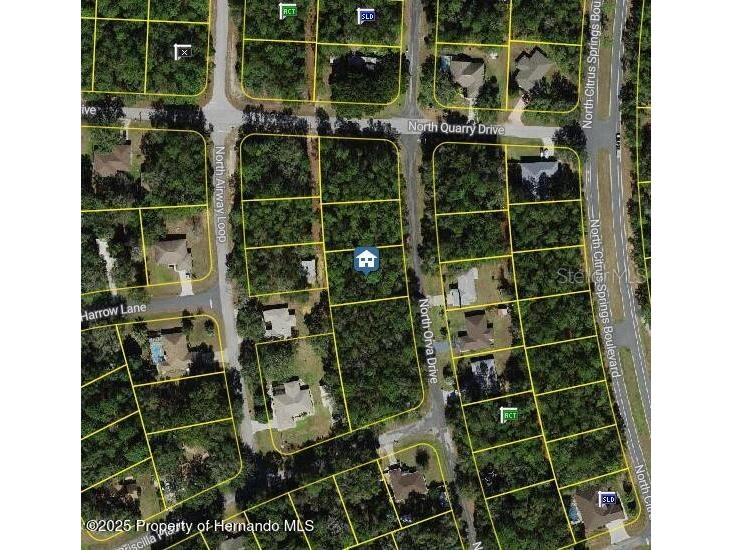 10768 N Orva Drive Citrus Springs FL 34434 W7878973 image1