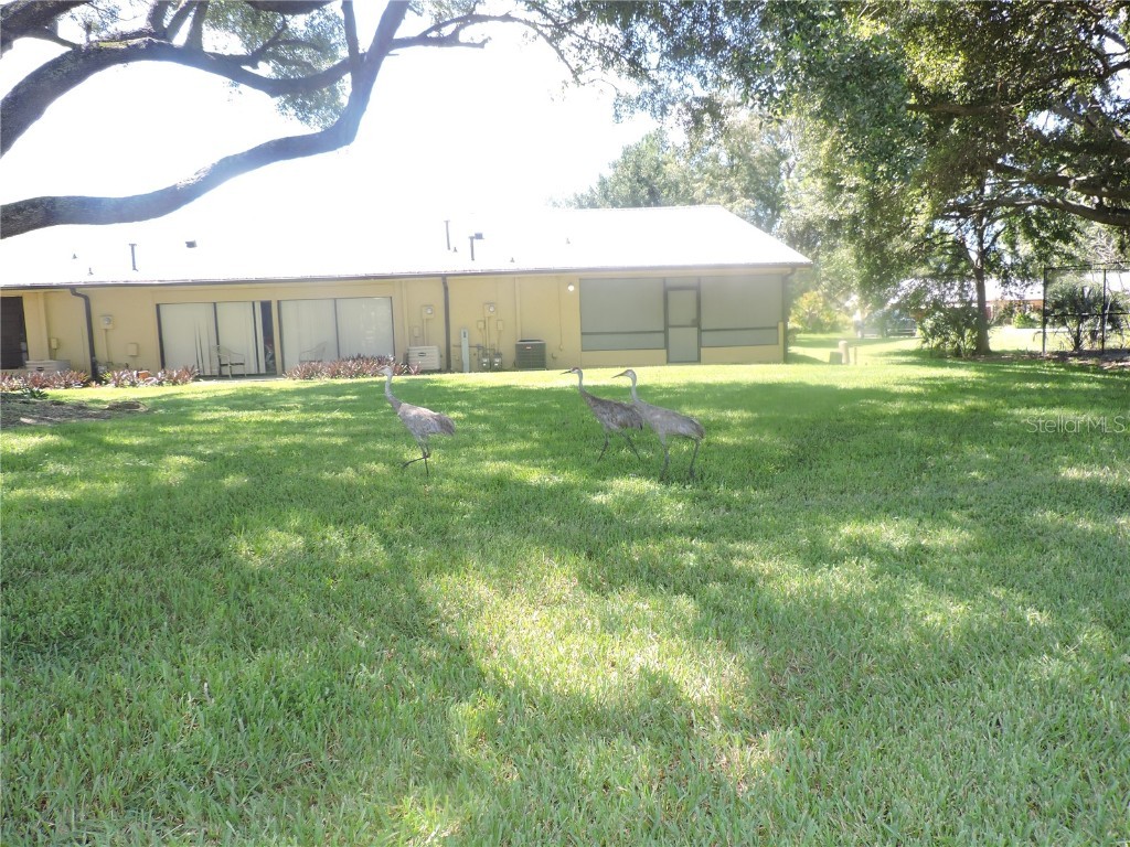 1077 Medinah Way Winter Haven FL 33884 K4902980 image27