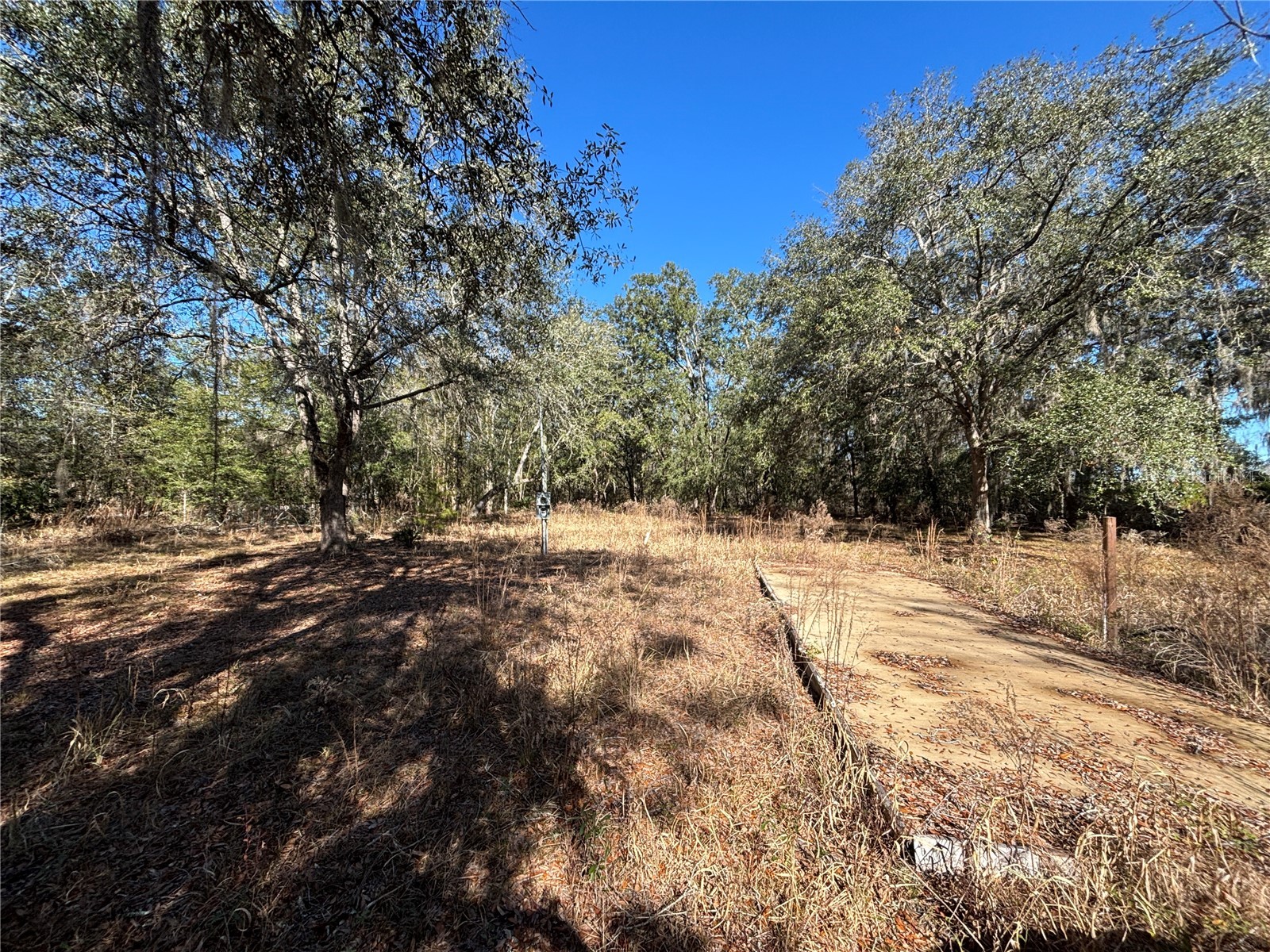 1077 NW Hamp Farmer Road Lake City FL 32055 O6394145 image2