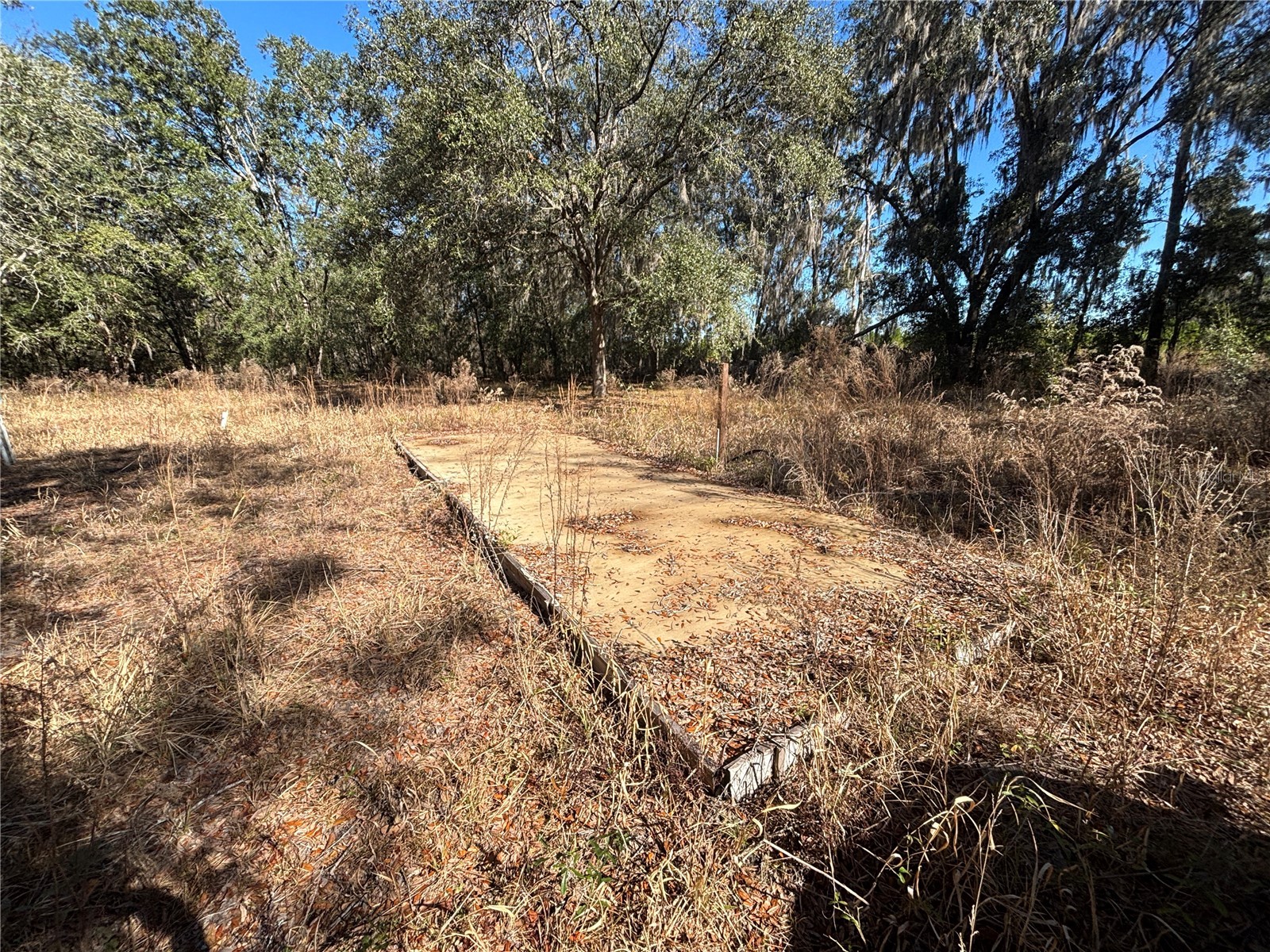 1077 NW Hamp Farmer Road Lake City FL 32055 O6394145 image3