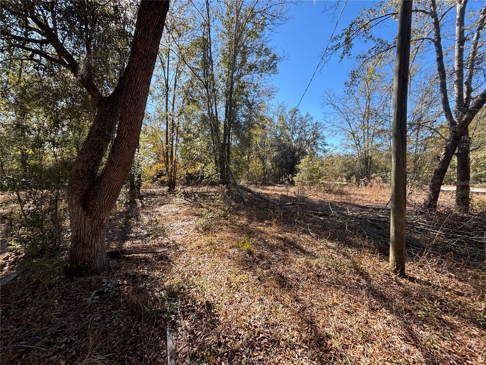 1077 NW Hamp Farmer Road Lake City FL 32055 O6394145 image6