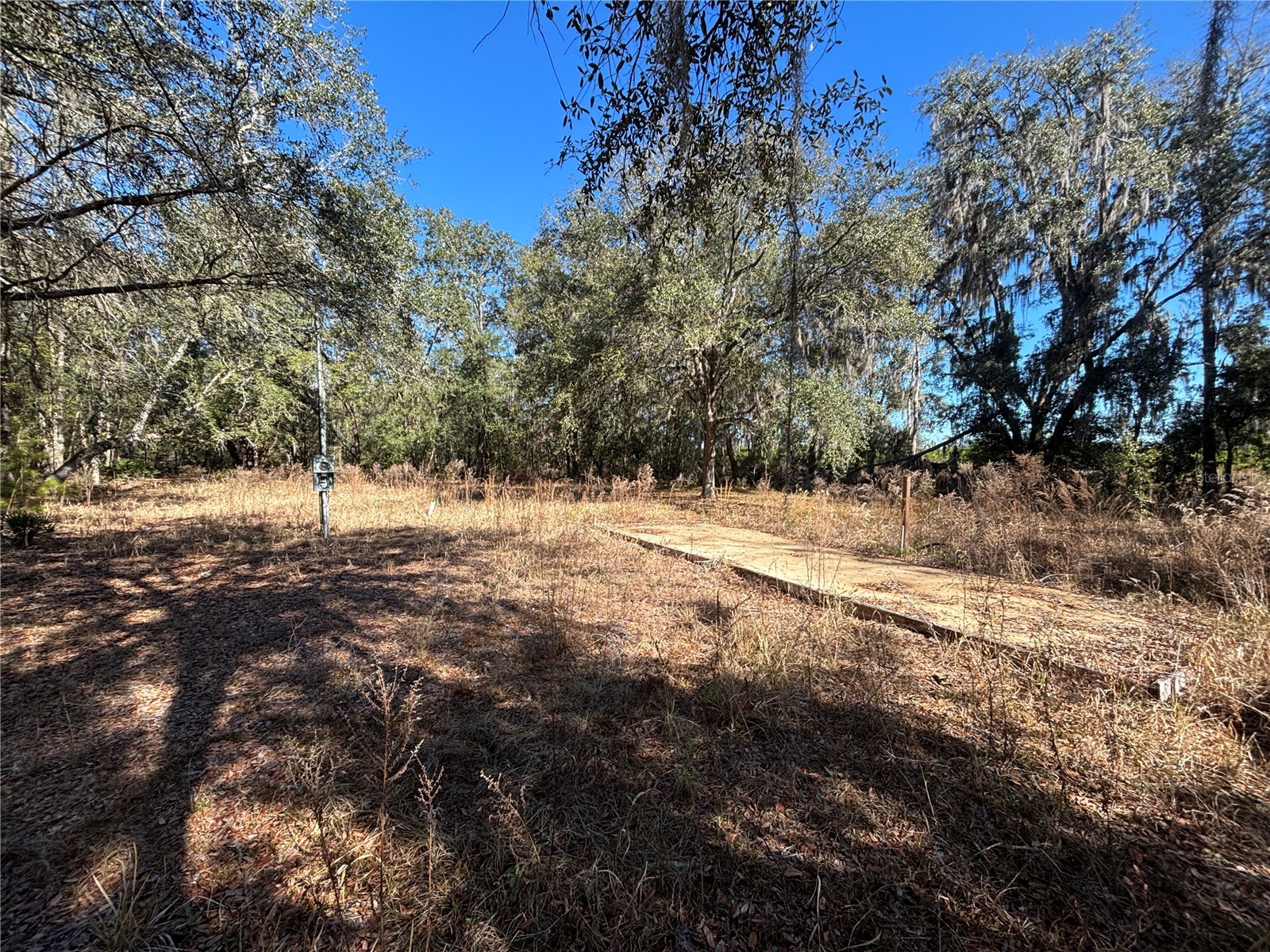 1077 NW Hamp Farmer Road Lake City FL 32055 O6394145 image7