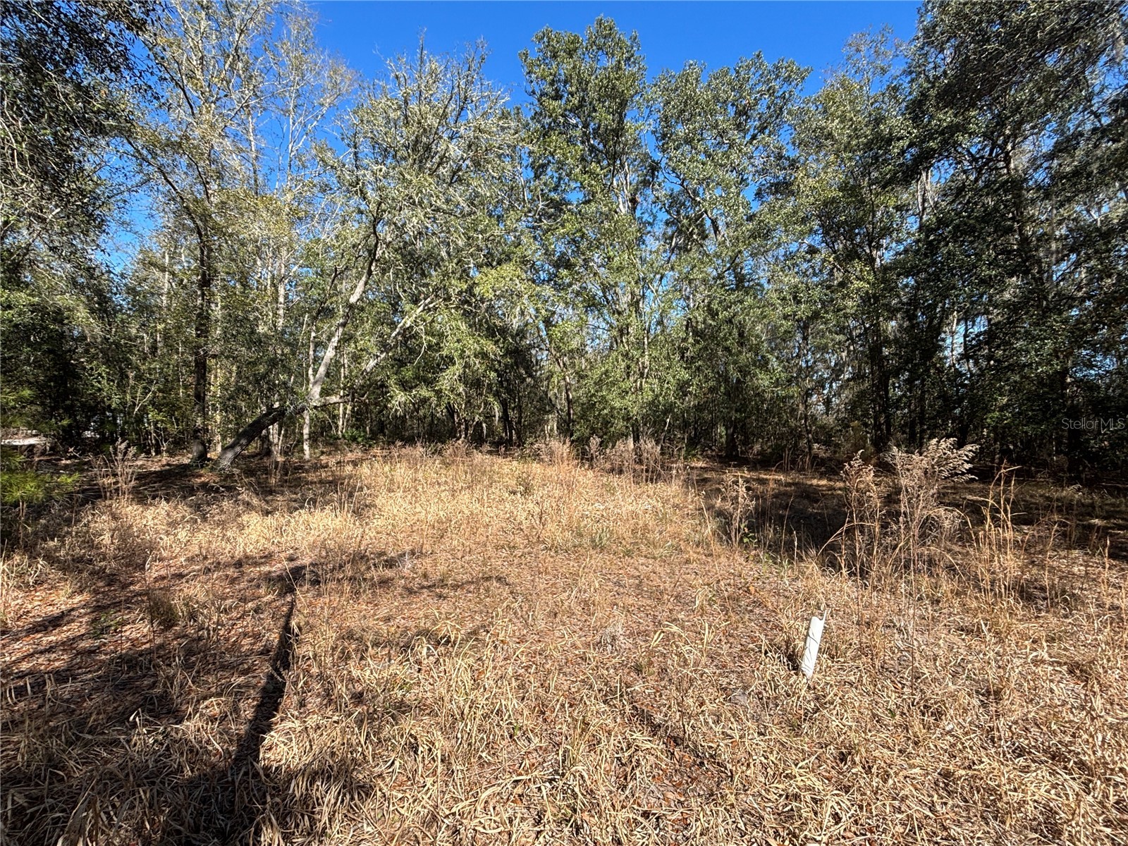 1077 NW Hamp Farmer Road Lake City FL 32055 O6394145 image8