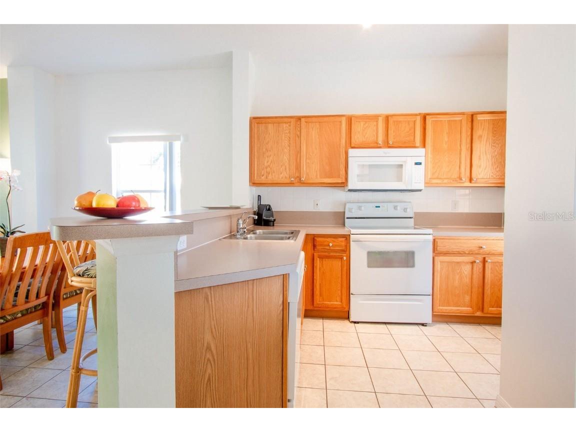 1077 Park Ridge Circle Kissimmee FL 34746 O6359423 image18