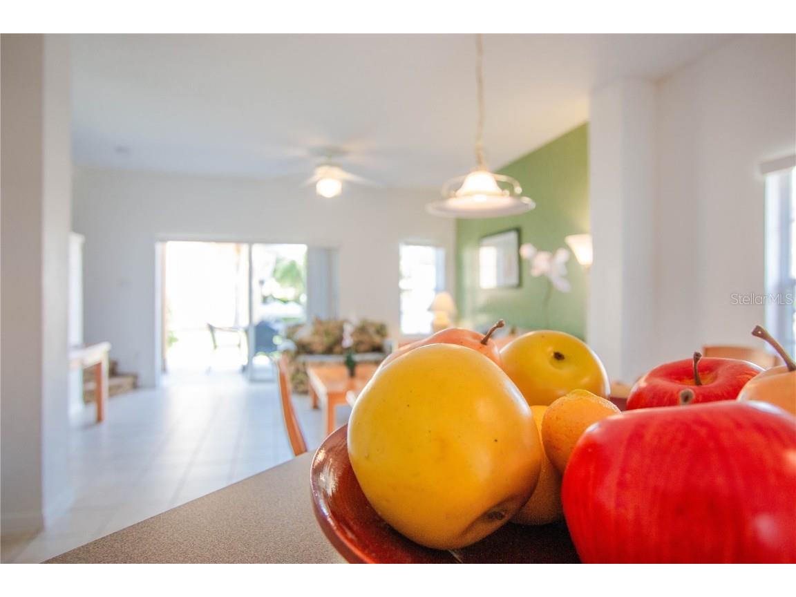 1077 Park Ridge Circle Kissimmee FL 34746 O6359423 image6