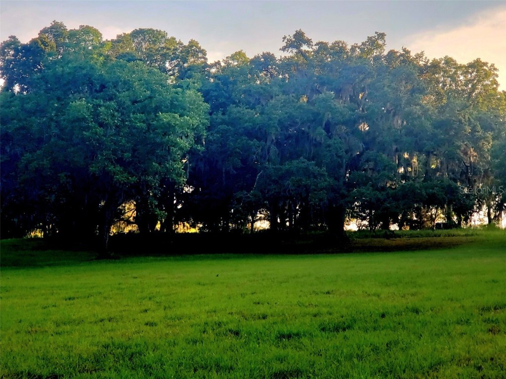 1077 SW 144th Court Road Ocala FL 34481 OM641353 image1