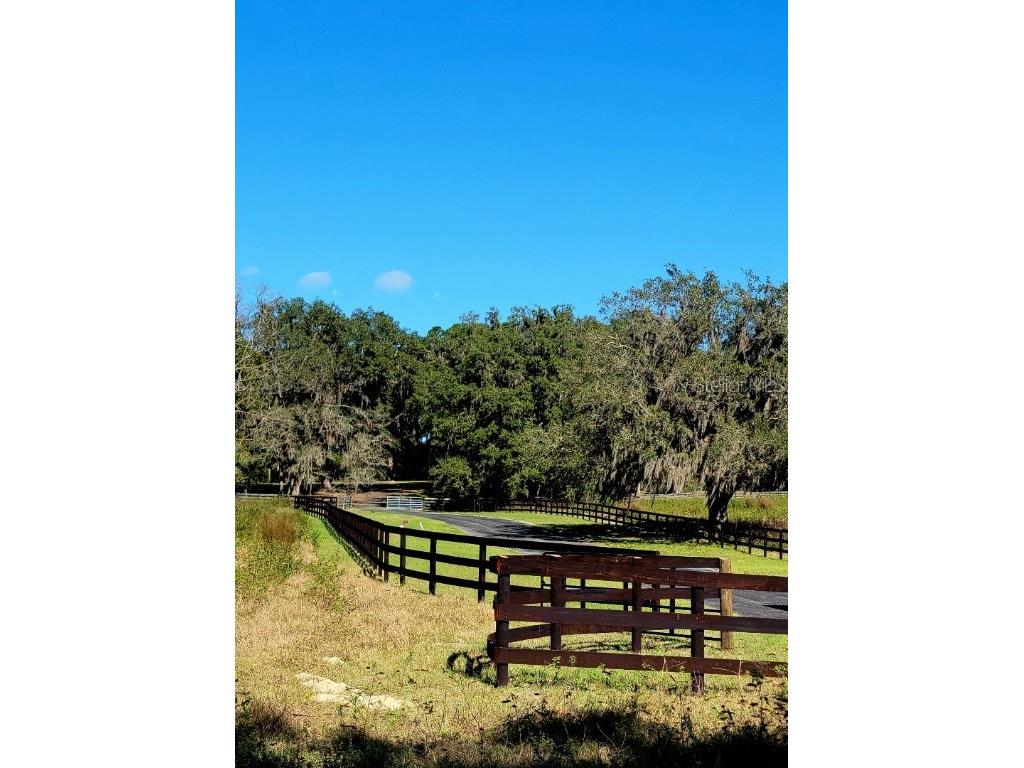 1077 SW 144th Court Road Ocala FL 34481 OM641353 image10