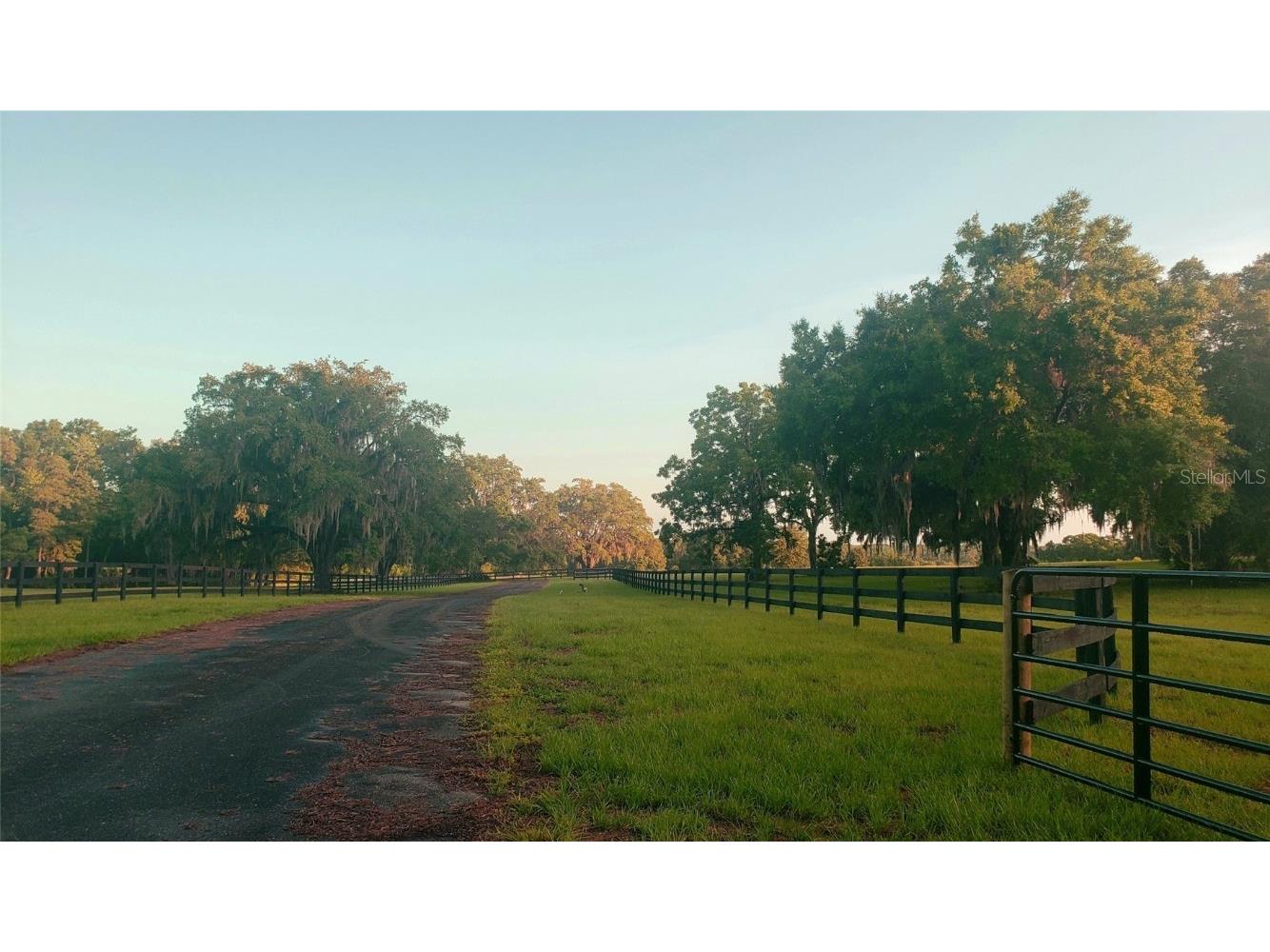 1077 SW 144th Court Road Ocala FL 34481 OM641353 image11