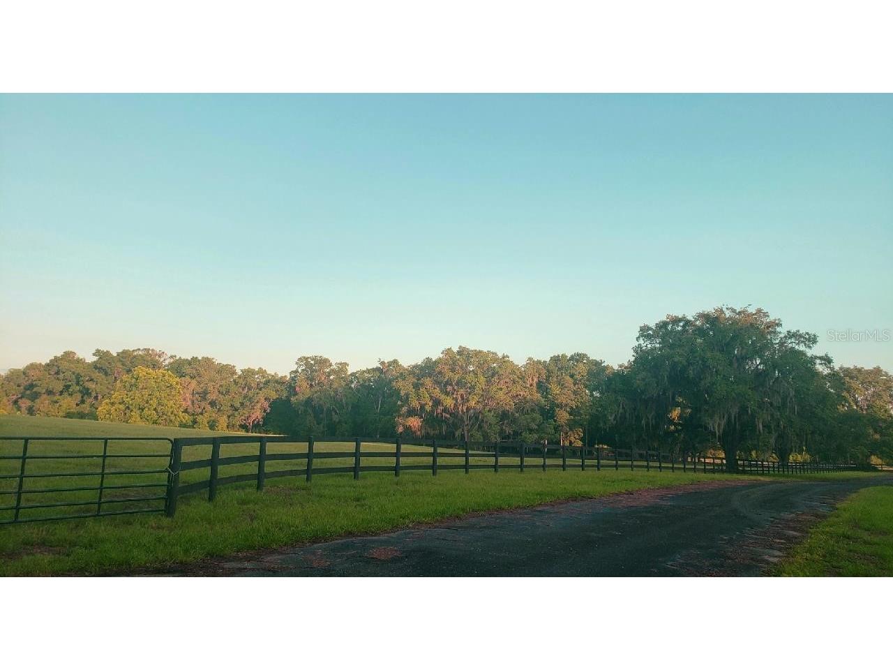 1077 SW 144th Court Road Ocala FL 34481 OM641353 image12