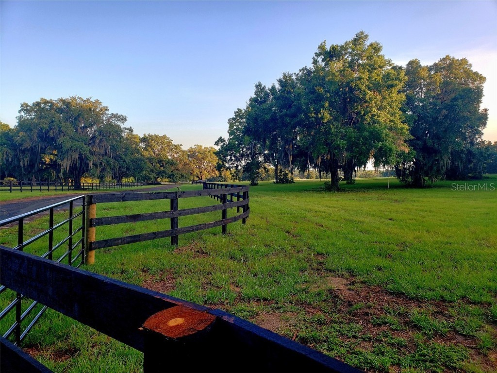 1077 SW 144th Court Road Ocala FL 34481 OM641353 image13