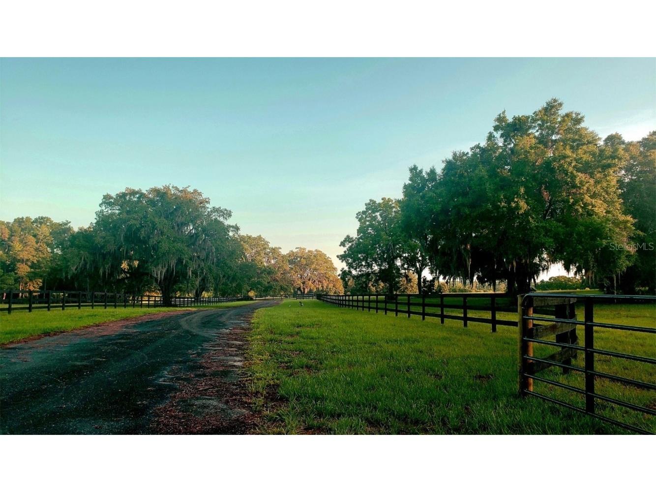 1077 SW 144th Court Road Ocala FL 34481 OM641353 image14