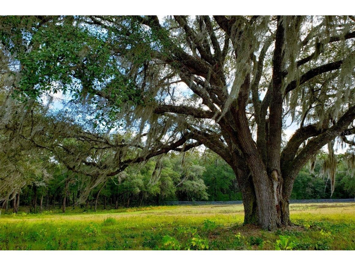 1077 SW 144th Court Road Ocala FL 34481 OM641353 image2