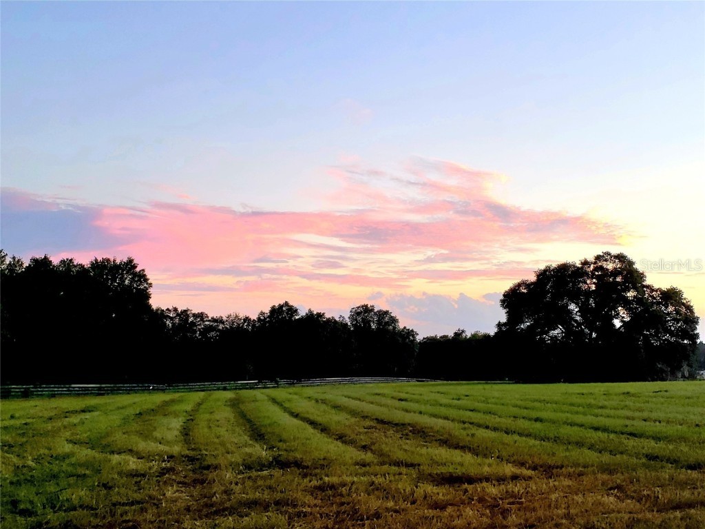 1077 SW 144th Court Road Ocala FL 34481 OM641353 image20