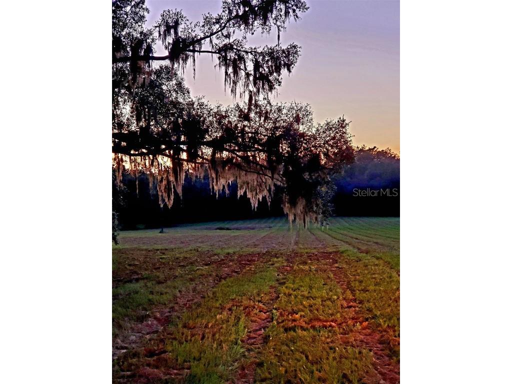 1077 SW 144th Court Road Ocala FL 34481 OM641353 image21