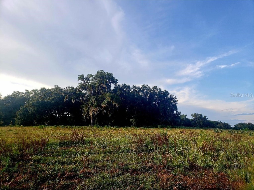 1077 SW 144th Court Road Ocala FL 34481 OM641353 image22