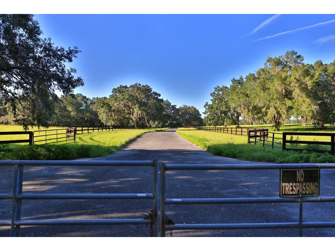 1077 SW 144th Court Road Ocala FL 34481 OM641353 image23