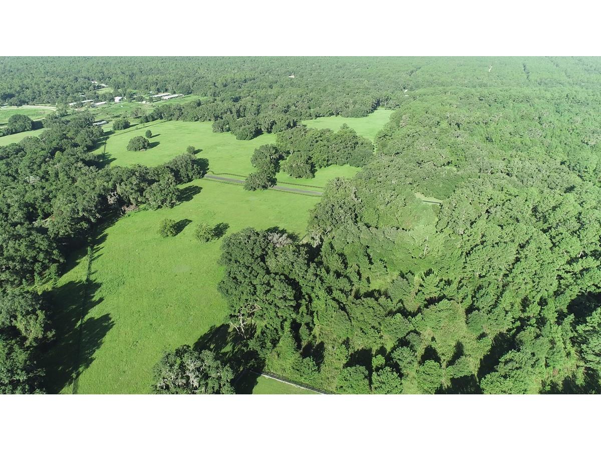 1077 SW 144th Court Road Ocala FL 34481 OM641353 image26