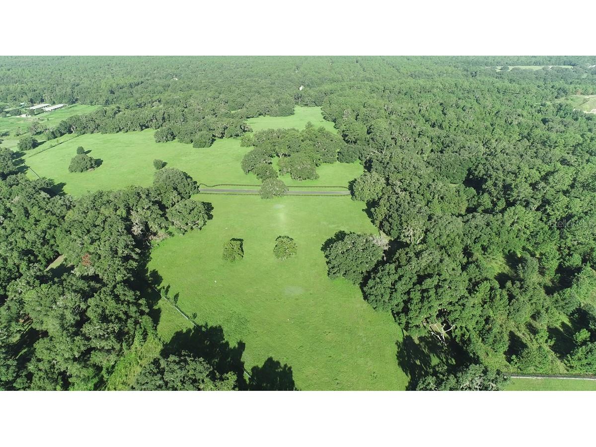 1077 SW 144th Court Road Ocala FL 34481 OM641353 image27