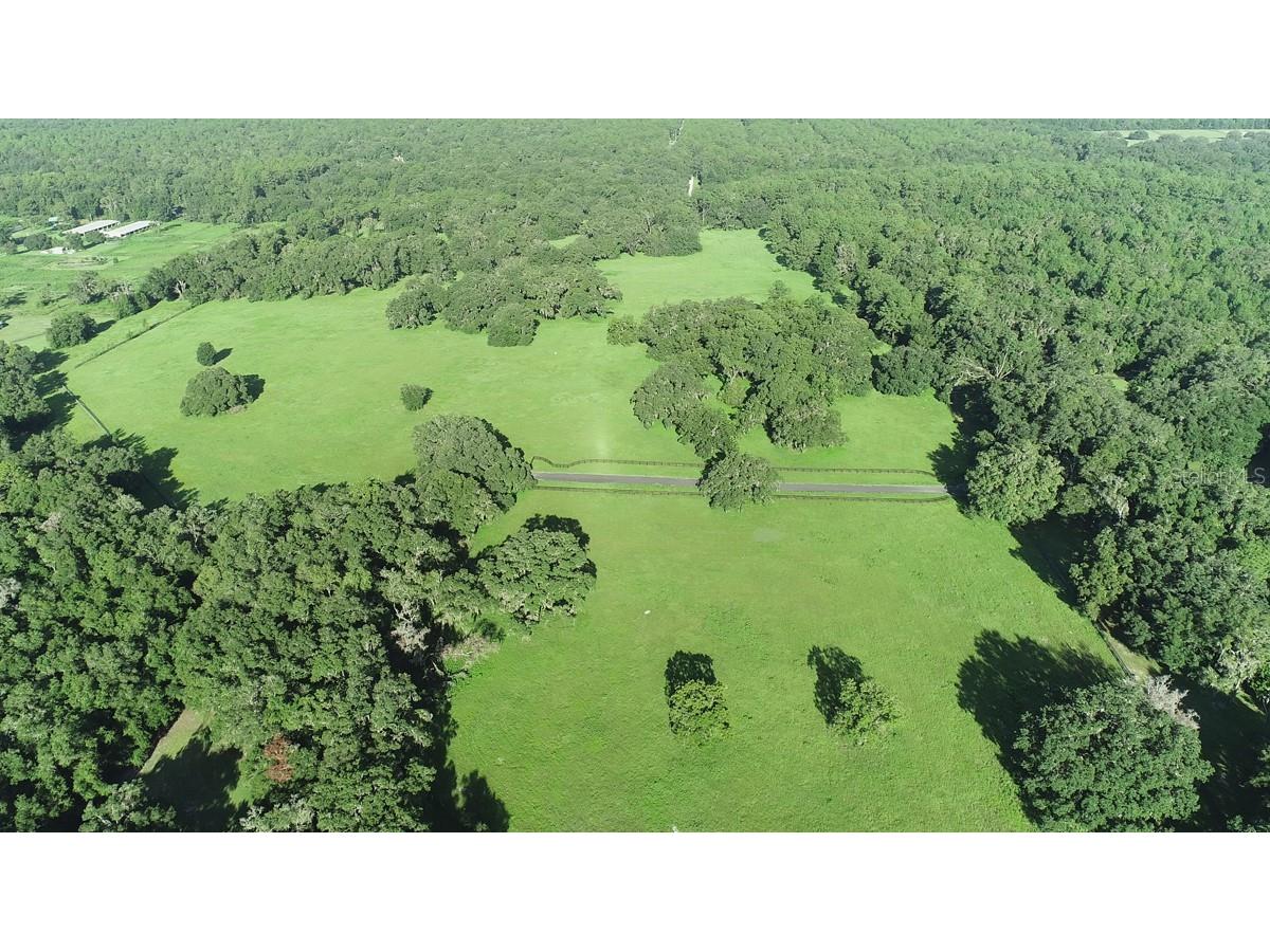 1077 SW 144th Court Road Ocala FL 34481 OM641353 image28