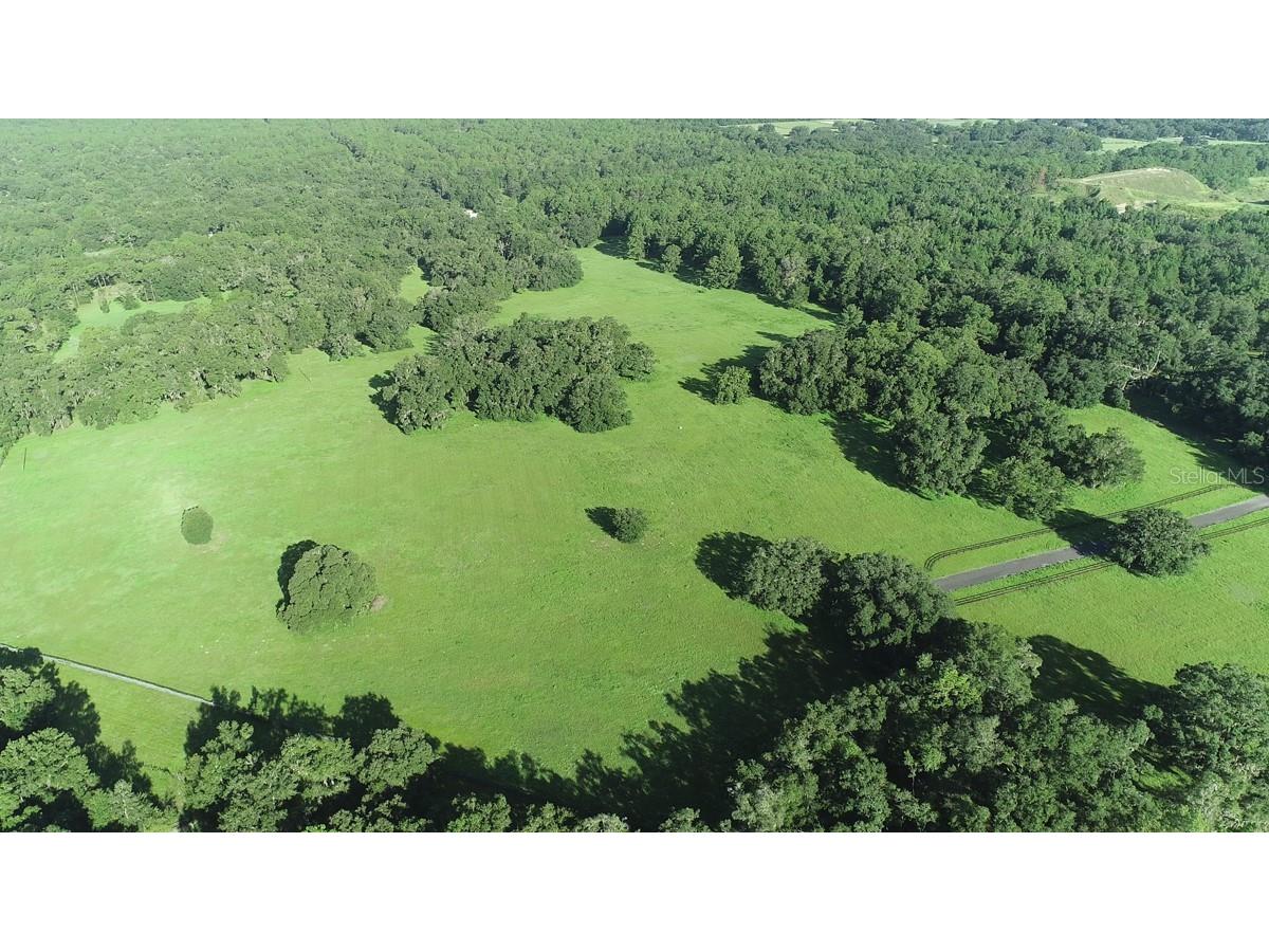 1077 SW 144th Court Road Ocala FL 34481 OM641353 image3