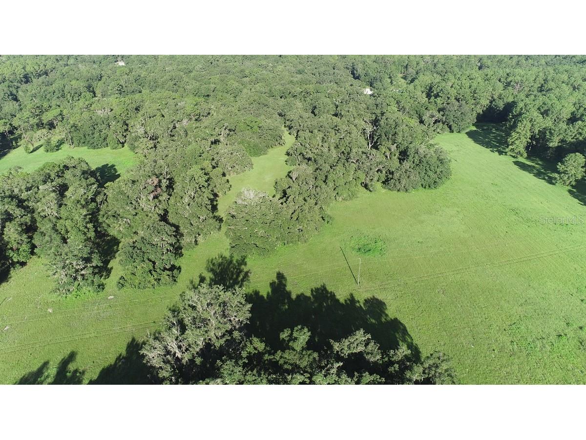 1077 SW 144th Court Road Ocala FL 34481 OM641353 image30