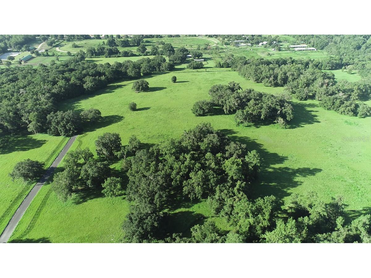 1077 SW 144th Court Road Ocala FL 34481 OM641353 image31