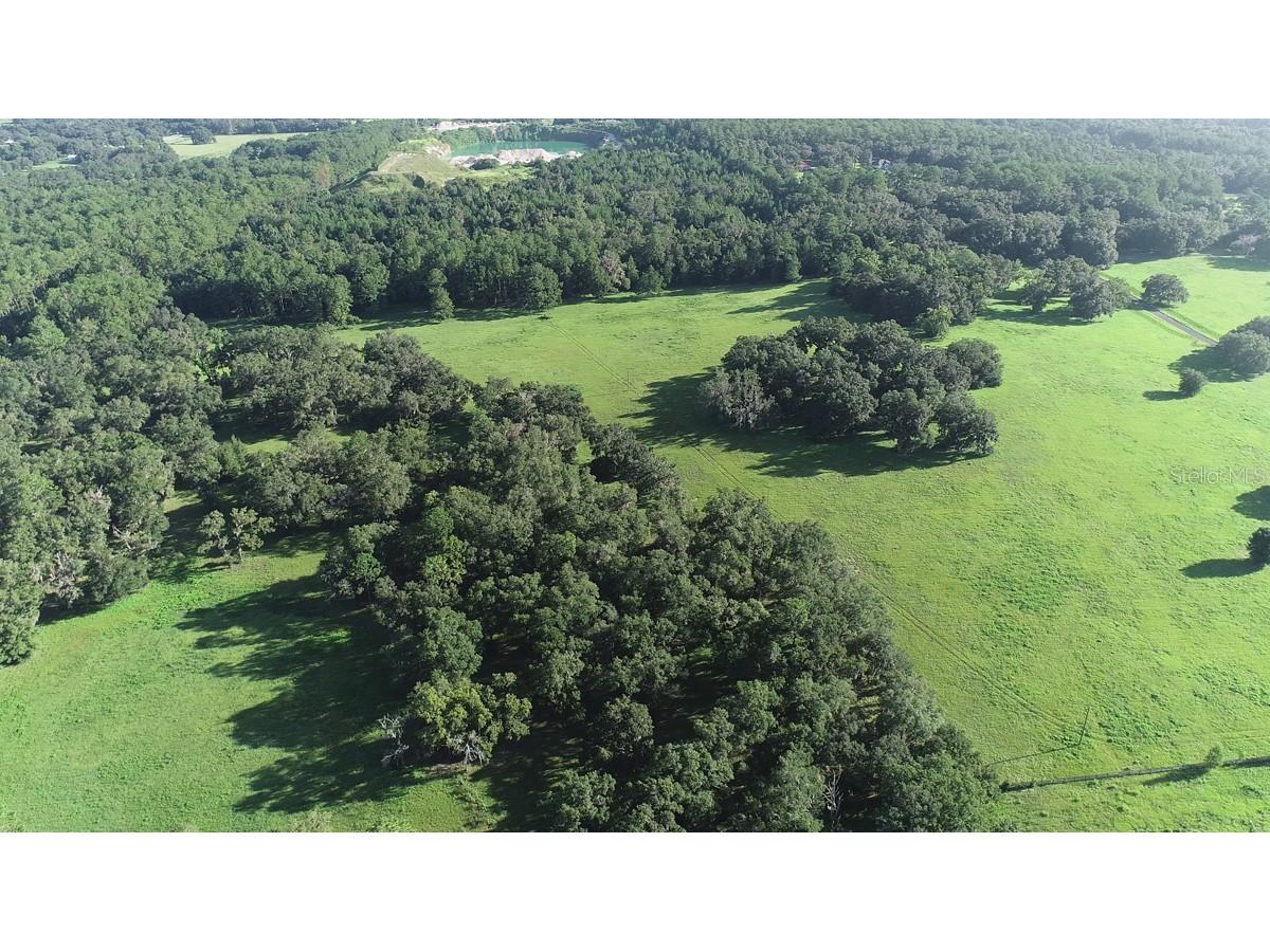 1077 SW 144th Court Road Ocala FL 34481 OM641353 image33