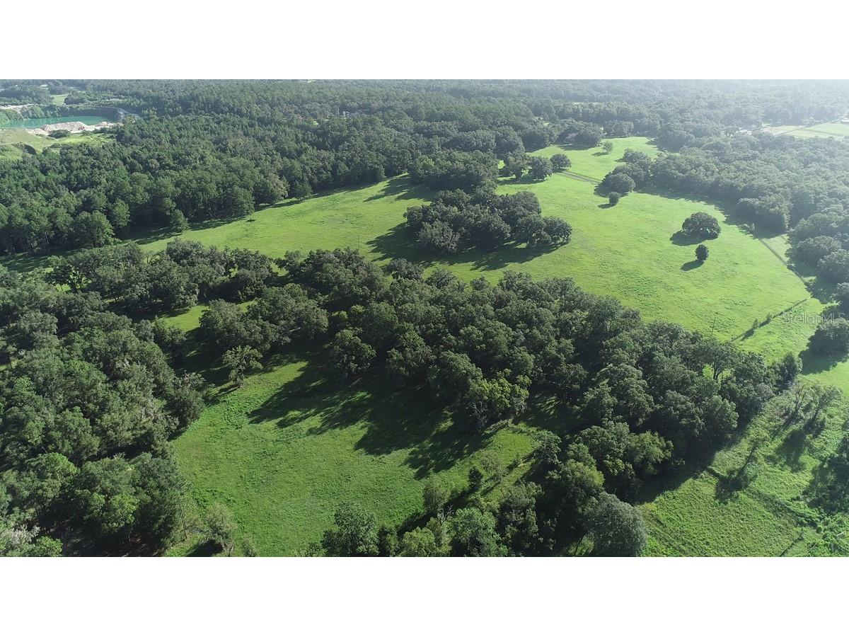 1077 SW 144th Court Road Ocala FL 34481 OM641353 image35