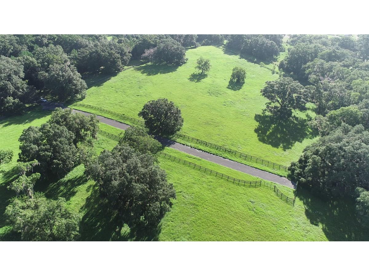 1077 SW 144th Court Road Ocala FL 34481 OM641353 image36