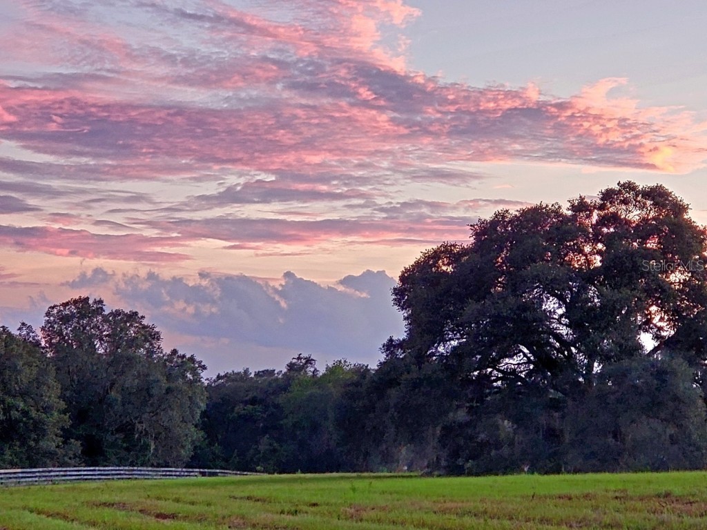1077 SW 144th Court Road Ocala FL 34481 OM641353 image4