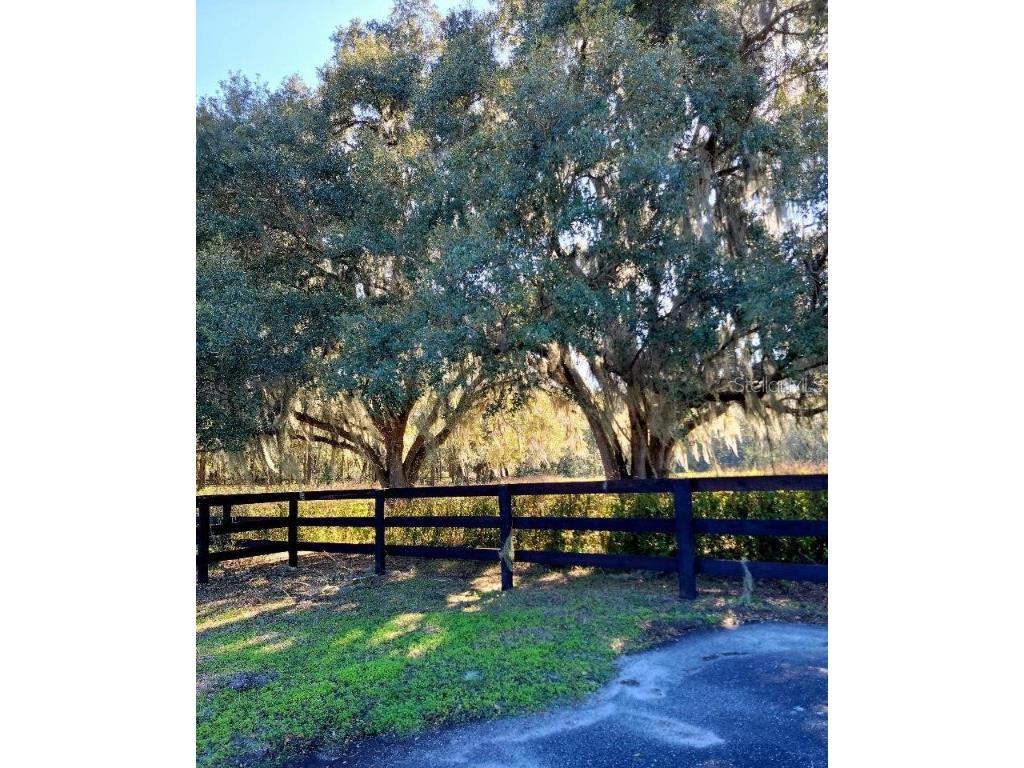 1077 SW 144th Court Road Ocala FL 34481 OM641353 image9