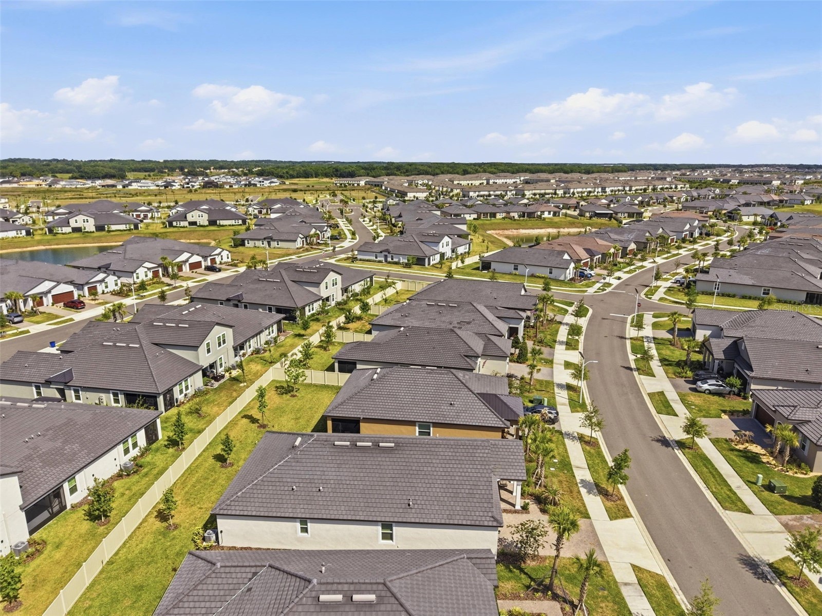10770 Tupper Cay Drive San Antonio FL 33576 TB8503880 image69