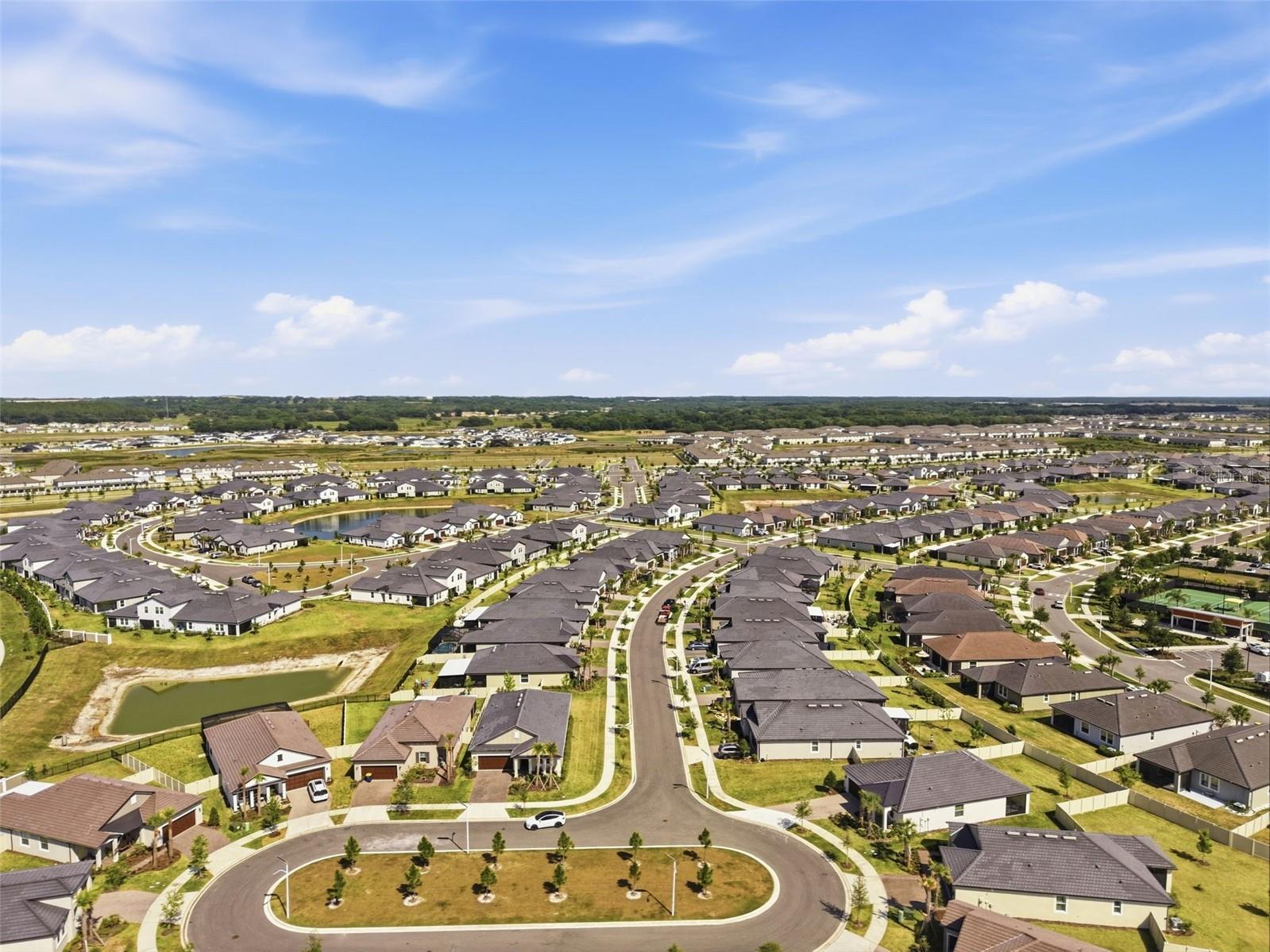 10770 Tupper Cay Drive San Antonio FL 33576 TB8503880 image72