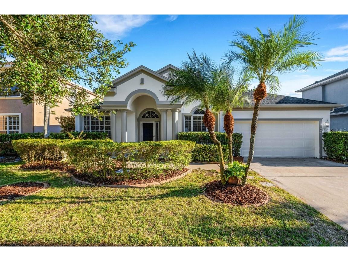 10771 Banfield Drive Riverview FL 33579 T3472128 image1