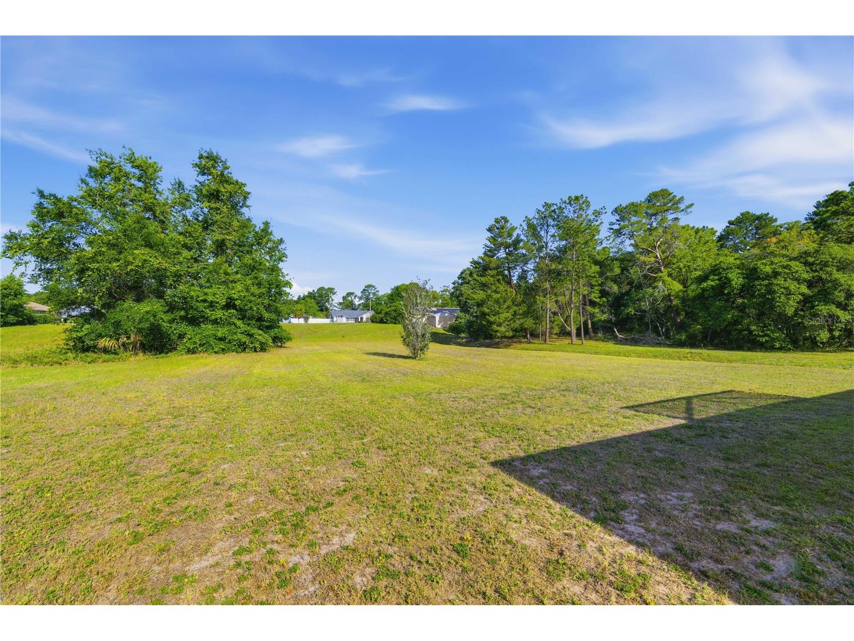 10772 SW 53rd Circle Ocala FL 34476 OM723952 image31