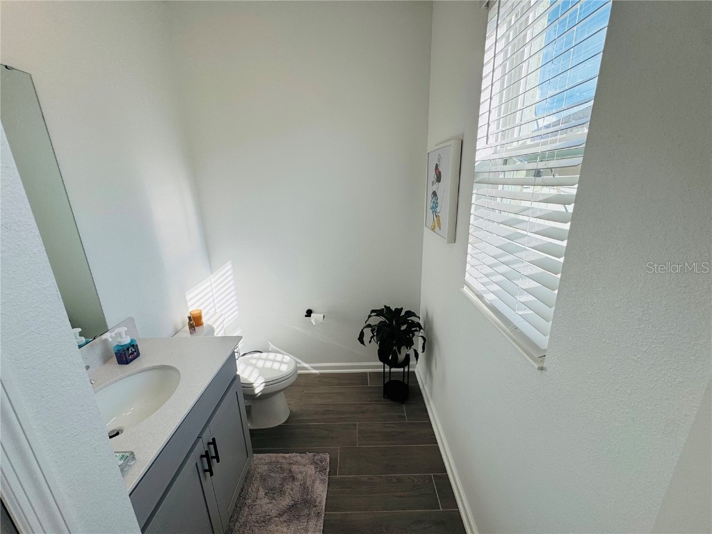 10774 Rhett Butler Alley Winter Garden FL 34787 O6368725 image12