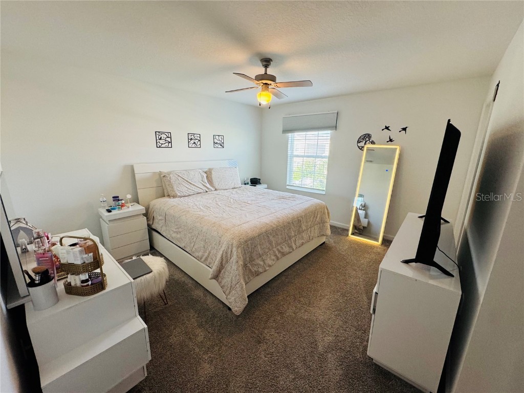 10774 Rhett Butler Alley Winter Garden FL 34787 O6368725 image13