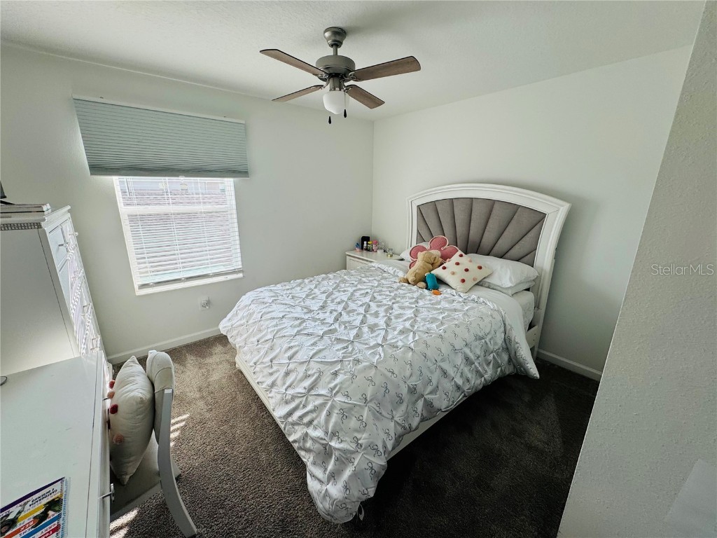 10774 Rhett Butler Alley Winter Garden FL 34787 O6368725 image16