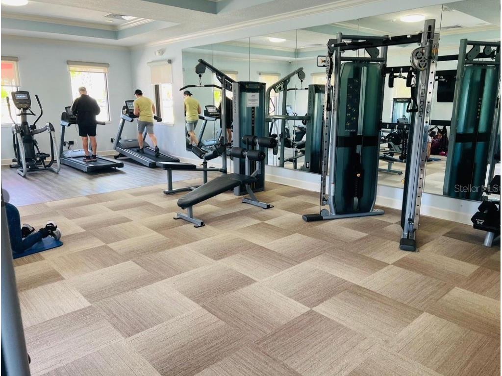 10774 Rhett Butler Alley Winter Garden FL 34787 O6368725 image25