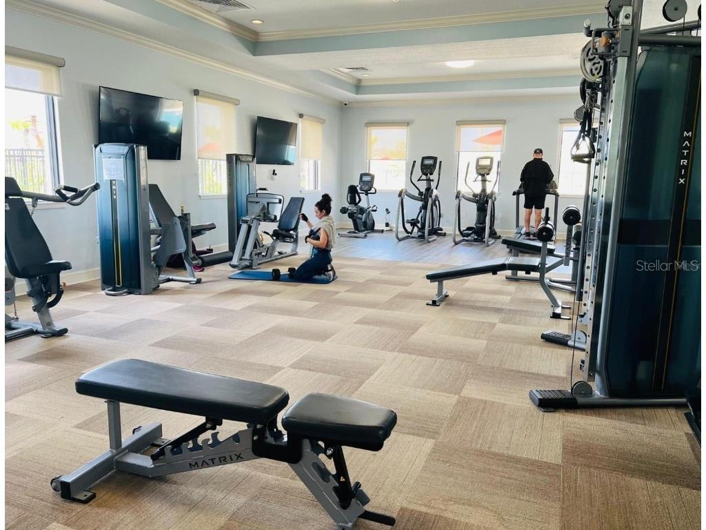 10774 Rhett Butler Alley Winter Garden FL 34787 O6368725 image26