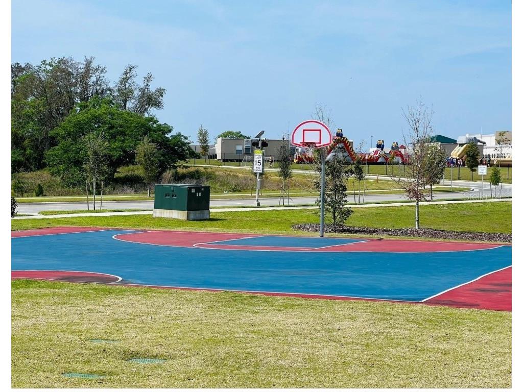 10774 Rhett Butler Alley Winter Garden FL 34787 O6368725 image28